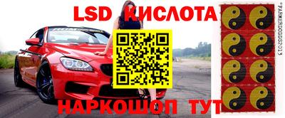 прущие грибы Тулун