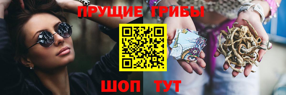 Москва  Псилоцибиновые грибы Psilocybine cubensis  Вход с VPN 